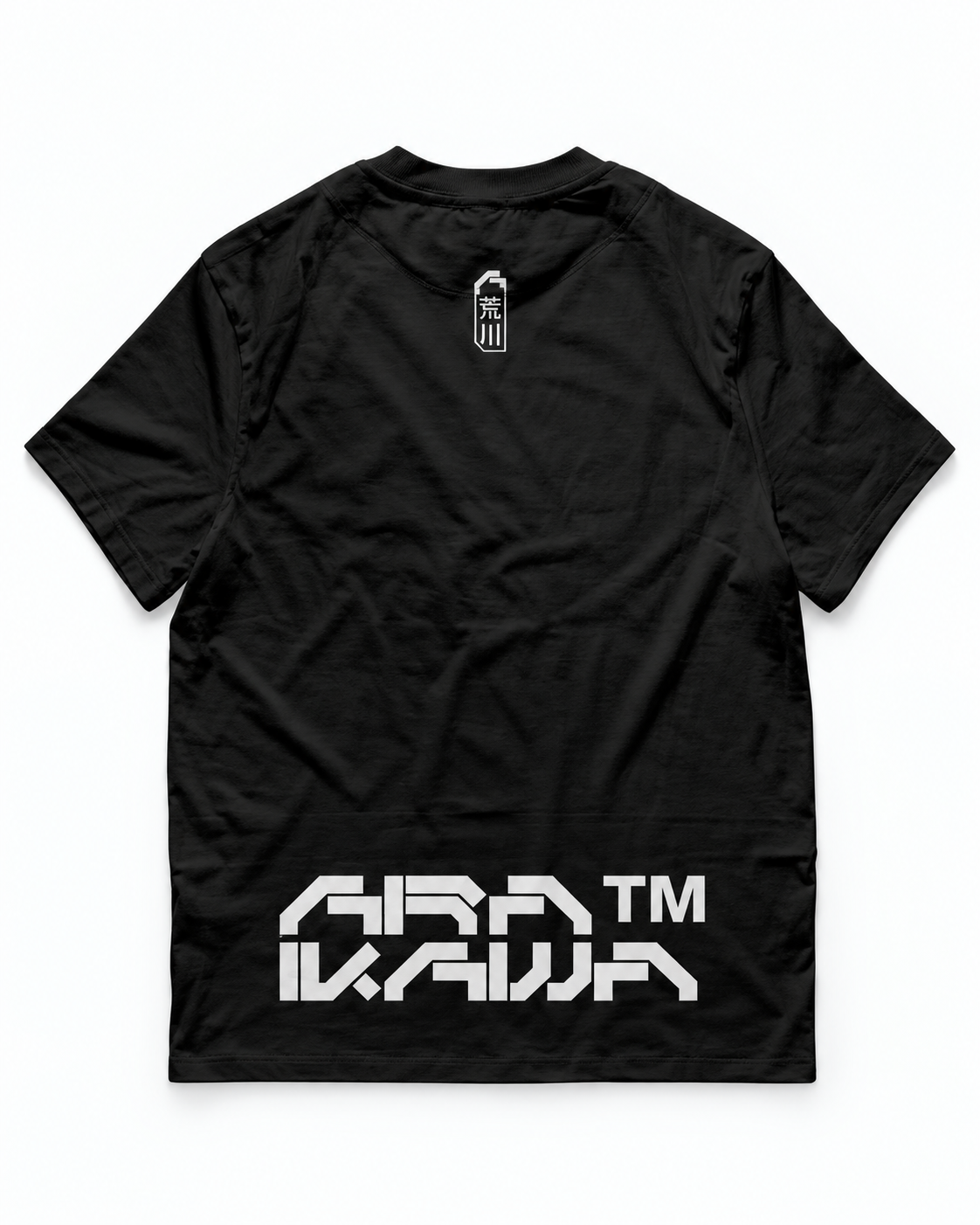 Raglan tee design 0000 in black, back layflat