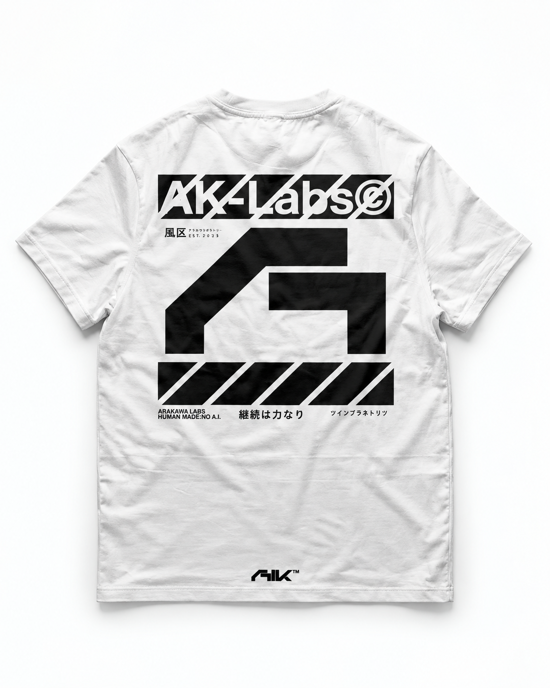 Raglan tee design 0001 in white, back layflat